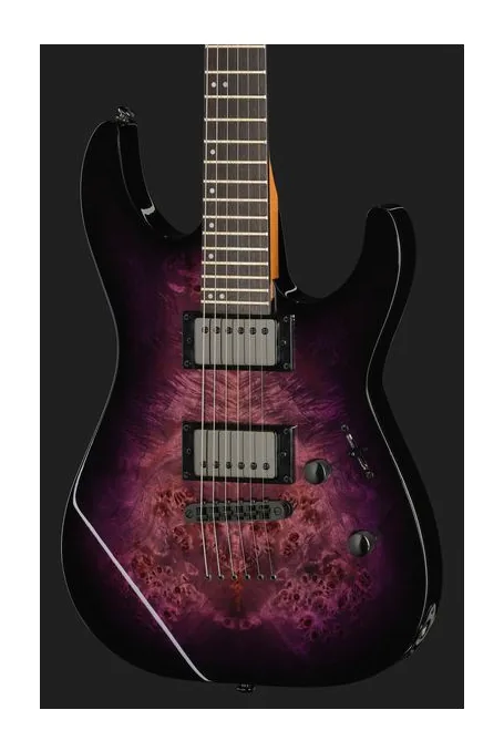 ESP LTD M-200DX NT PB, paletta con meccaniche e logo