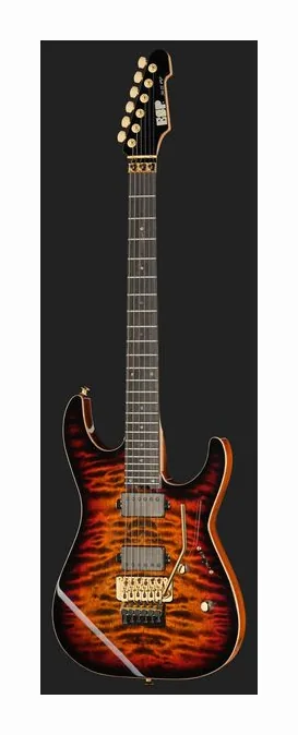 ESP M-II FR QM TESB GH EMG, vista posteriore del corpo