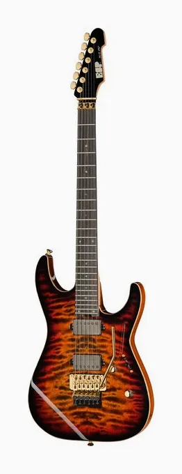ESP M-II FR QM TESB GH EMG fotografato frontalmente