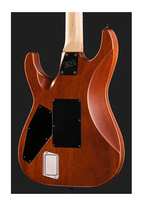 ESP M-III FR QM FSH BH Tiger Eye, paletta con meccaniche e logo