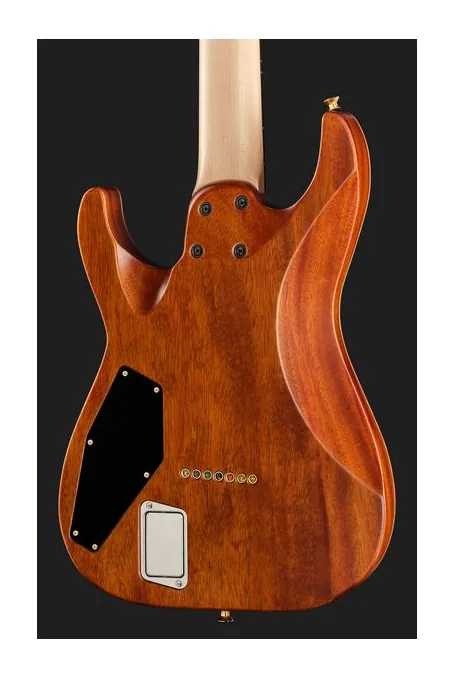 ESP M7B HT RASPBERRY GH EMG, vista posteriore del corpo
