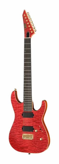 ESP M7B HT RASPBERRY GH EMG visto di fronte