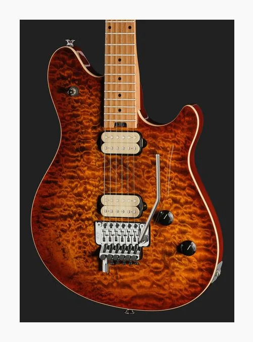 Evh Wolfgang Special QM TigerEyeG, vista posteriore del corpo