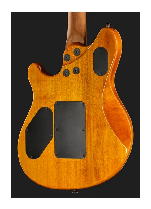 Evh Wolfgang WG Std QM TA, ponte e meccaniche di intonazione