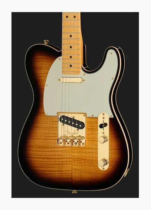 Fender 75th Anniv Am Pro II Tele 2CSB, vista posteriore del corpo
