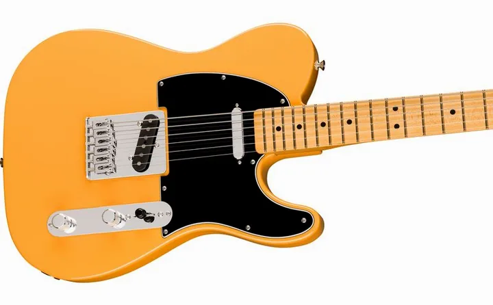 Fender 75th Player II Bari Tele BTB, vista posteriore del corpo