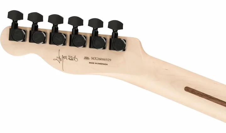 Fender Jim Root Telecaster EB SHG, pickup e manopole dei controlli