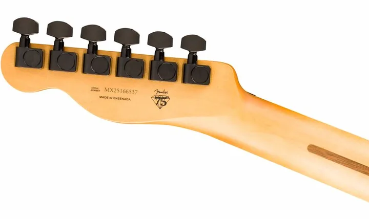 Fender LTD Player Fusion Tele HH AUM, vista posteriore del corpo