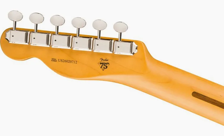 Fender LTD Pro Clsc Silent Tele VBL, vista posteriore del corpo