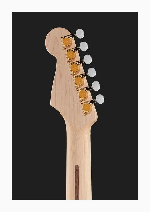 Fender Richie Kotzen Stratocaster TRB, vista posteriore del corpo