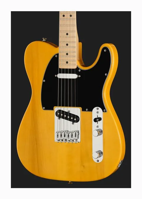 Fender Standard Tele MN BPG BTB, vista posteriore del corpo