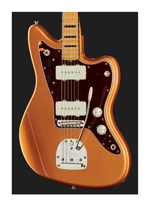 Fender Troy V Leeuwen Jazzmaster MN, paletta con meccaniche e logo