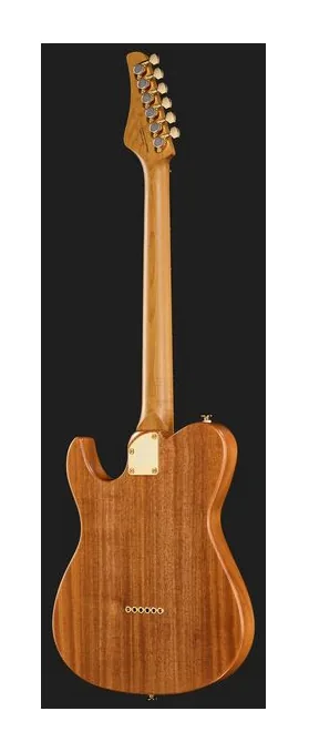 FGN Expert Iliad EW Thinline NTF, selettore pickup e jack di uscita