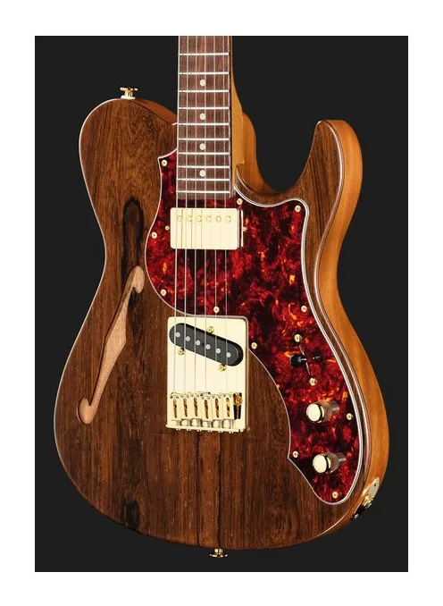 FGN Expert Iliad EW Thinline NTF, paletta con meccaniche e logo