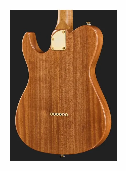 FGN Expert Iliad EW Thinline NTF, vista posteriore del corpo