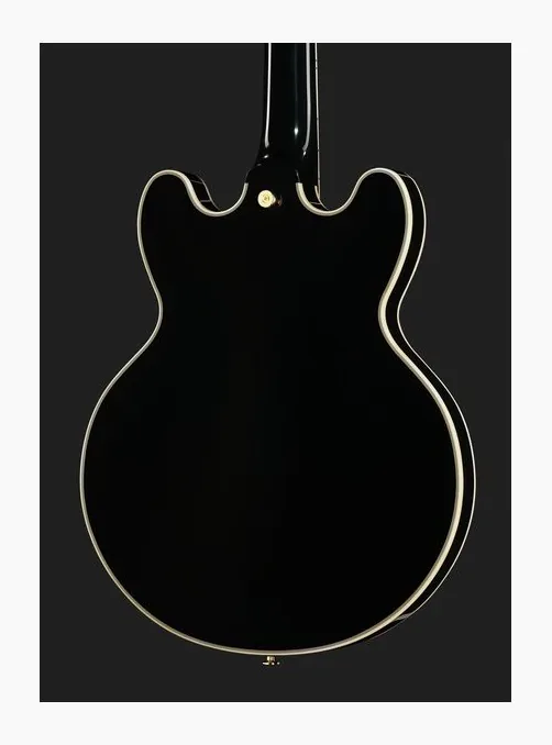 FGN Masterfield Semi Custom HH BK, paletta con meccaniche e logo