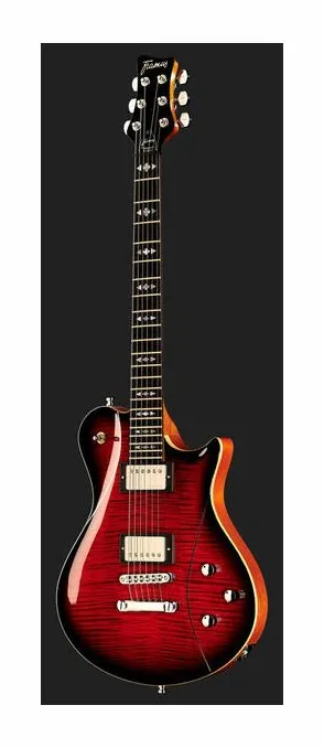 Framus Panthera II Supreme BTHP, paletta con meccaniche e logo