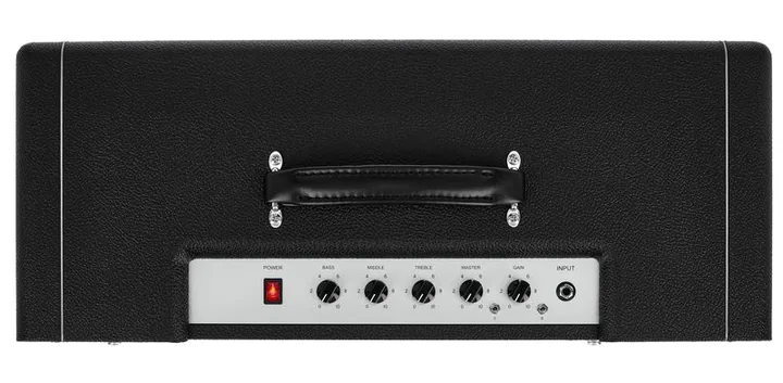 Friedman Little Sister Combo, vista laterale del cabinet