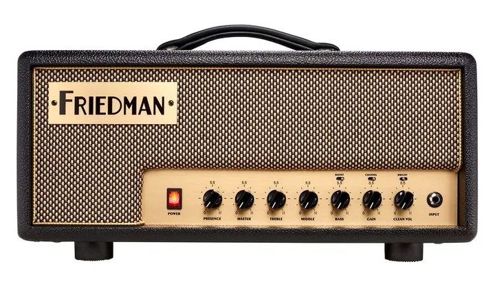 Friedman Runt-20 Head, logo e finiture del pannello frontale