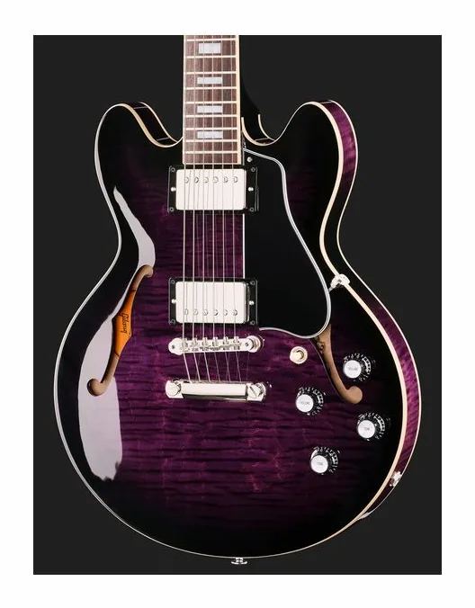 Gibson ES-339 Figured D Purple Burst, pickup e manopole dei controlli