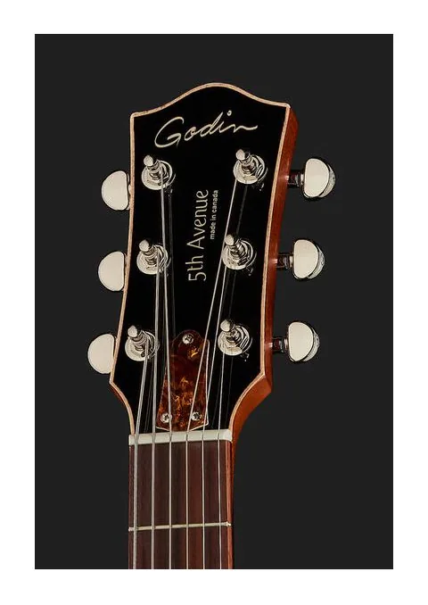 Godin 5th Ave CW Kingpin II HB, paletta con meccaniche e logo