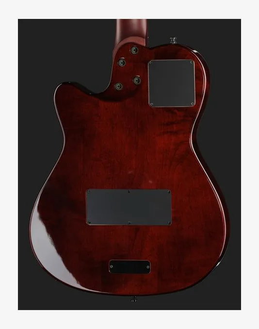 Godin A12 Ultra Dlx Lightburst, vista posteriore del corpo