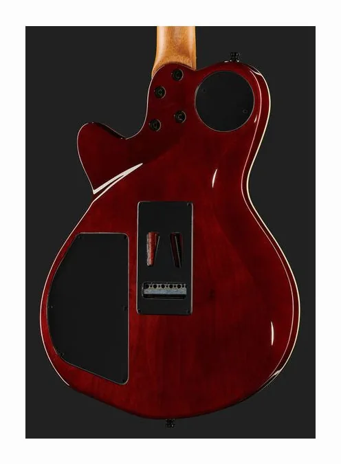Godin xtSA Koa, vista posteriore del corpo
