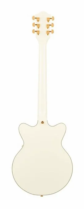 Gretsch G2655TG LTD STRML CB JR TG VWT, vista posteriore del corpo