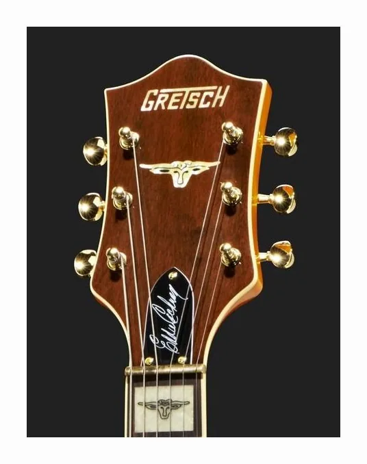 Gretsch G6120 Eddie Cochran, selettore pickup e jack di uscita