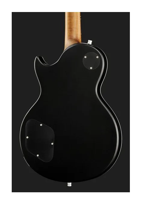 Harley Benton Agufish STD Signature BK, paletta con meccaniche e logo