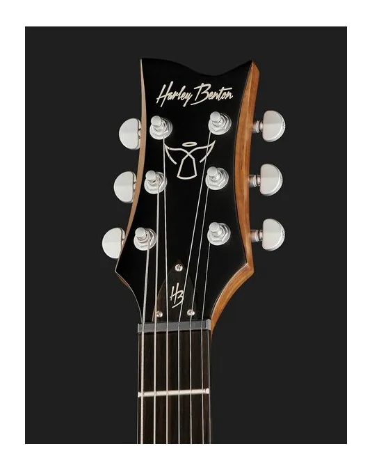 Harley Benton Agufish STD Signature BK, pickup e manopole dei controlli