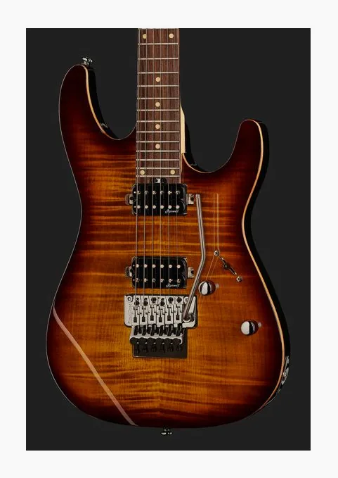 Harley Benton Fusion-III HH FR EB FBB w/Case, corpo e verniciatura in primo piano