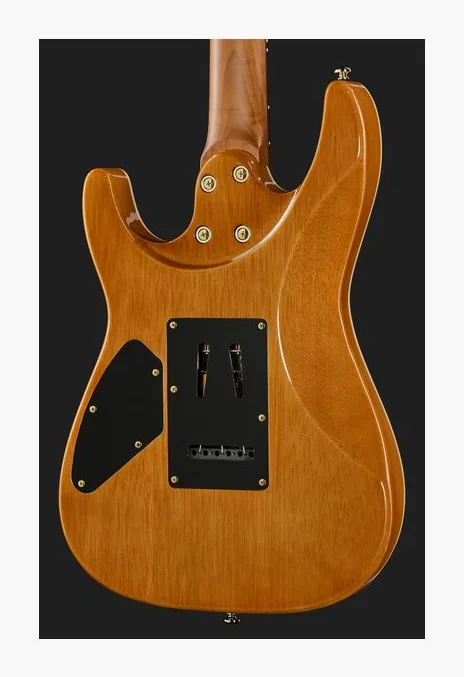 Harley Benton Fusion-IV HH RW PM, selettore pickup e jack di uscita