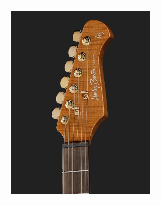Harley Benton Fusion-IV HH RW PM, pickup e manopole dei controlli