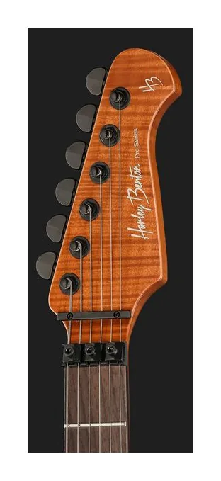 Harley Benton Fusion-IV HH RW FR WM, paletta con meccaniche e logo