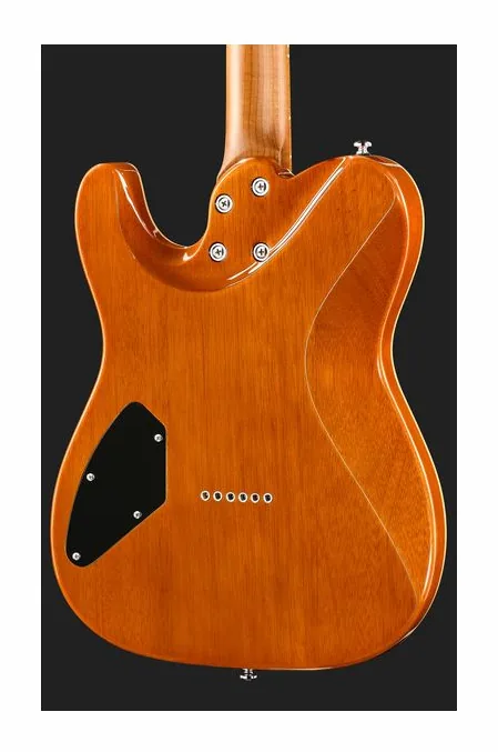 Harley Benton Fusion-T II HH MN HT QBKB, selettore pickup e jack di uscita
