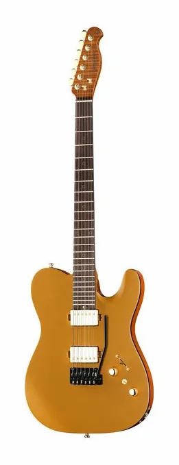 Harley Benton Fusion-T II HH RW SGD in primo piano frontale