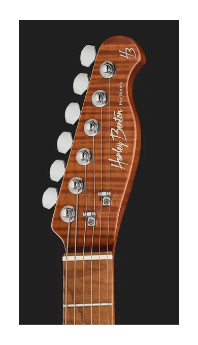 Harley Benton Fusion-T II HH MN SGR, selettore pickup e jack di uscita