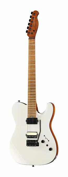 Harley Benton Fusion-T II HH MN WM in primo piano frontale