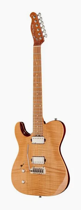 Harley Benton Fusion-T HH LH Roasted FNT inquadrato di fronte su sfondo neutro