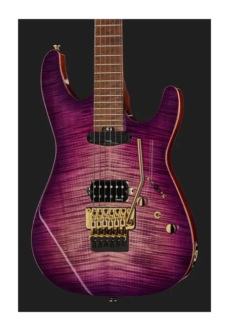 Harley Benton Guitar MAX Fusion Signature PF, manico e tastiera visti di lato
