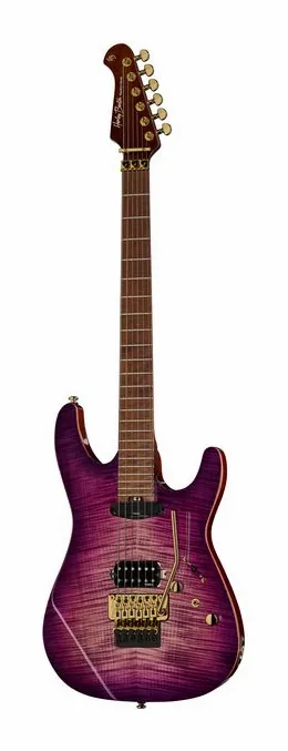 Harley Benton Guitar MAX Fusion Signature PF in primo piano frontale