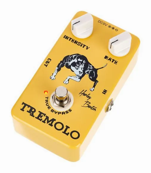 Harley Benton Vintage Tremolo, grafica del pannello superiore