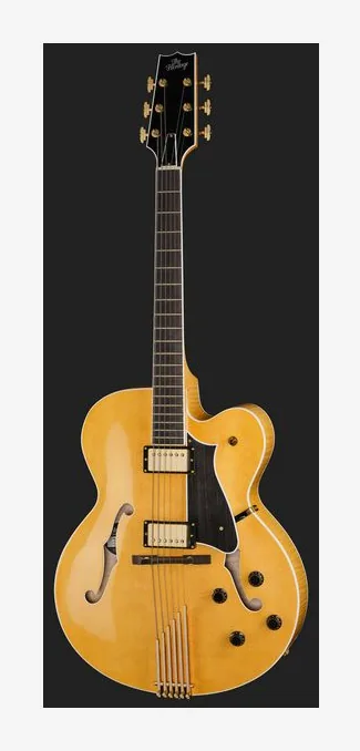 Heritage Guitar Eagle Classic AN, paletta con meccaniche e logo
