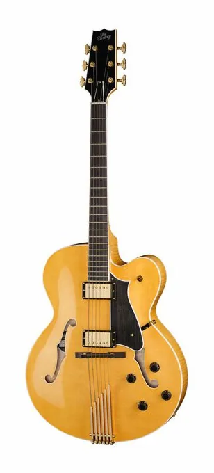 Heritage Guitar Eagle Classic AN in primo piano frontale