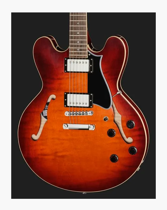 Heritage Guitar Standard II H-535 CNB, pickup e manopole dei controlli