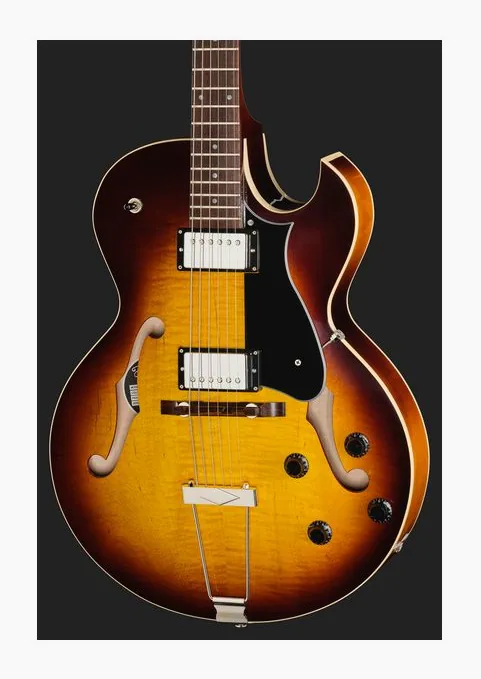 Heritage Guitar Standard II H-575 OSB, vista posteriore del corpo