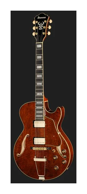 Ibanez AG95MG-DA, vista posteriore del corpo