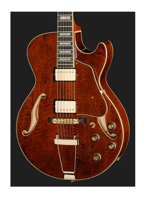 Ibanez AG95MG-DA, pickup e manopole dei controlli