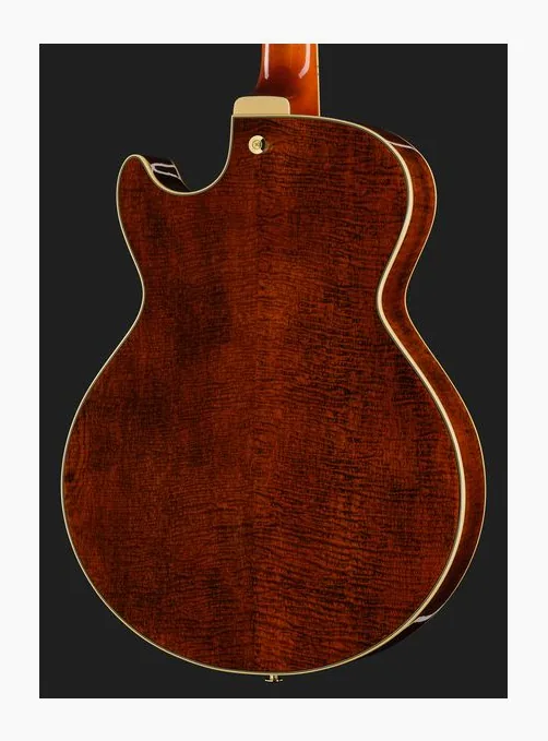 Ibanez AG95MG-DA, corpo e verniciatura in primo piano